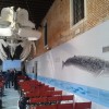 Galleria dei Cetacei, Congresso ANMS 2013