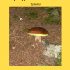 romanzo francesco gianola i funghi di premana presentazione al museo di storia naturale di venezia sabato 17 gennaio 2015