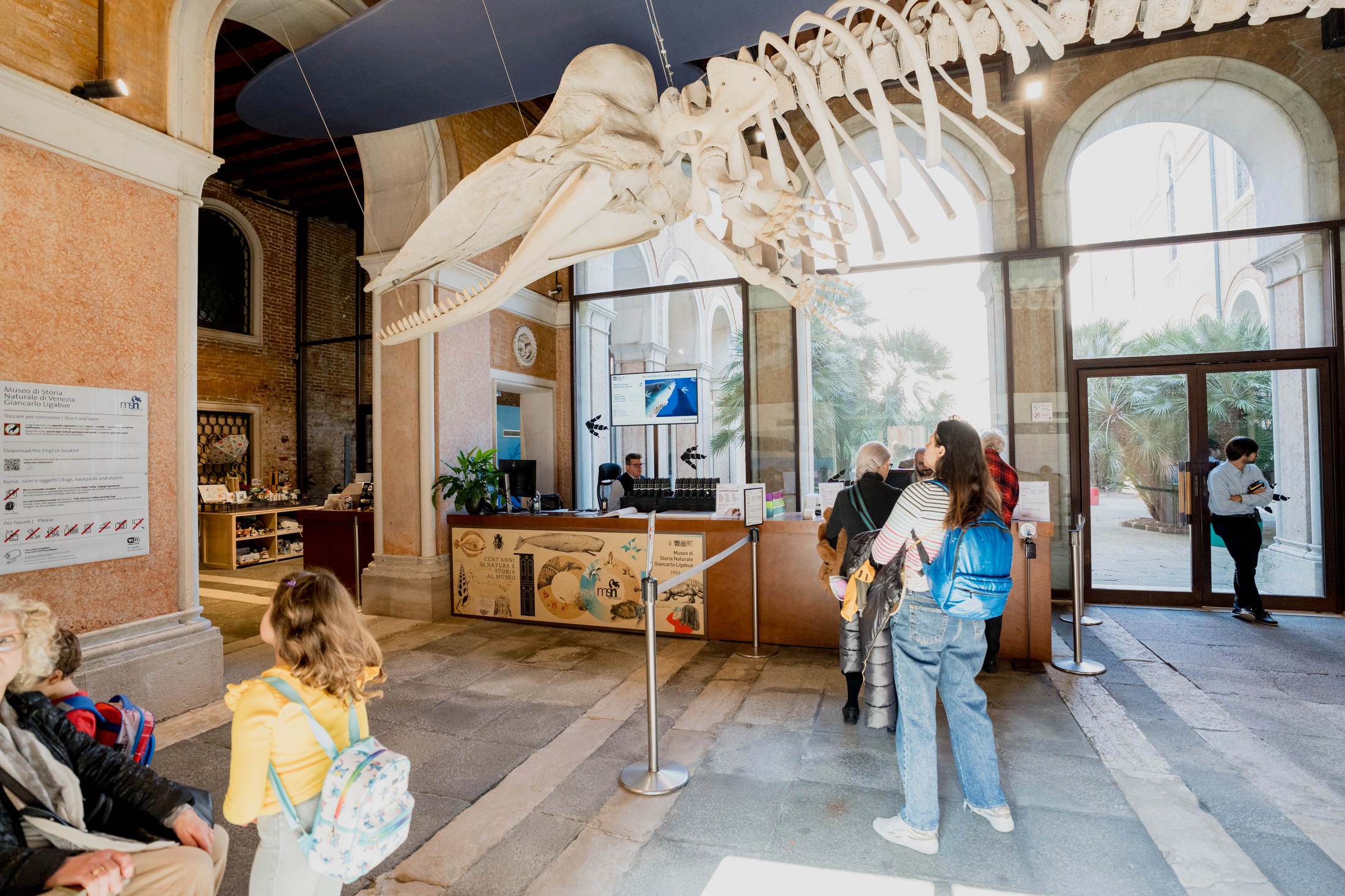 Visita il museo di storia naturale