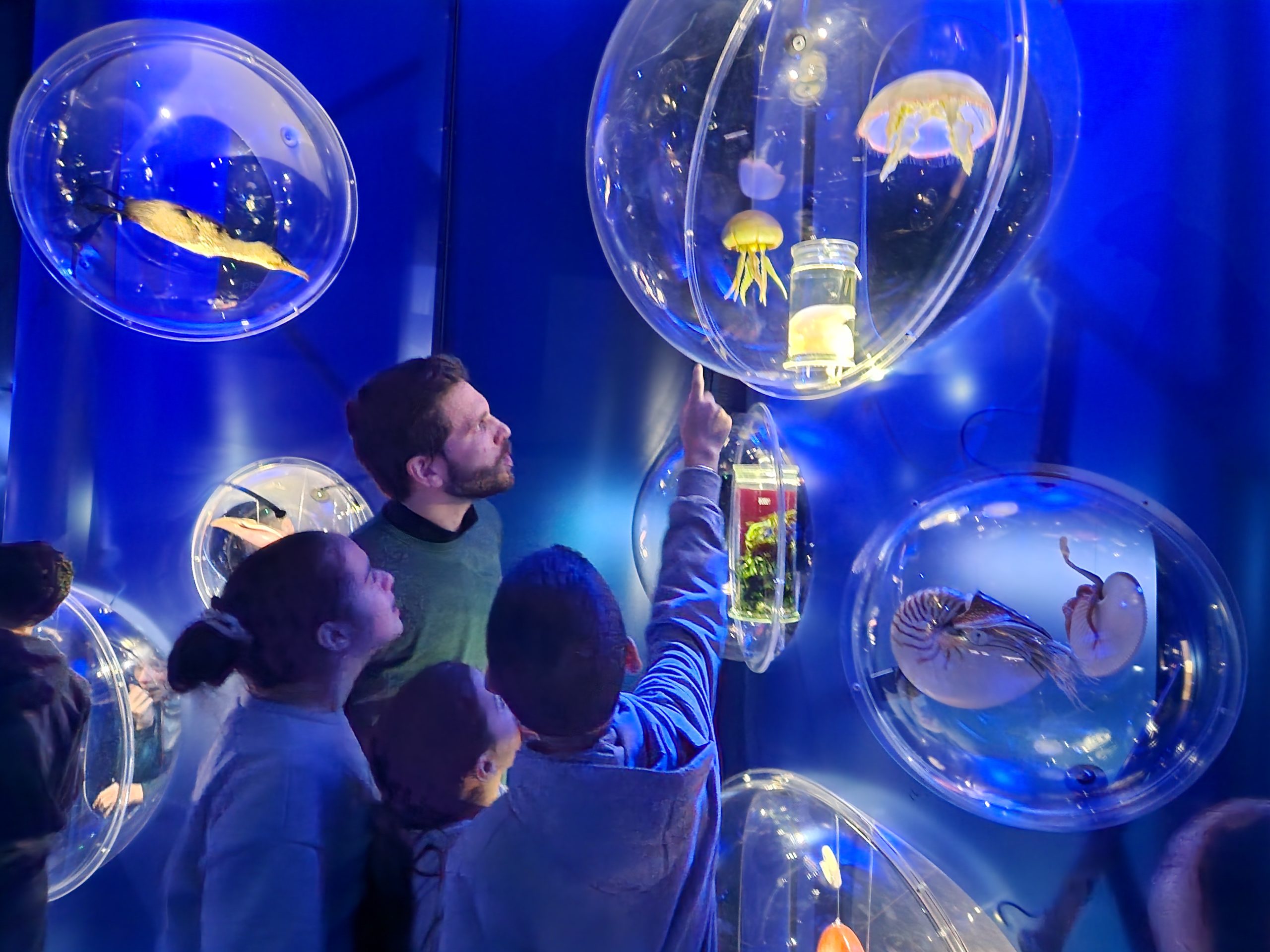 Attività bambini in museo