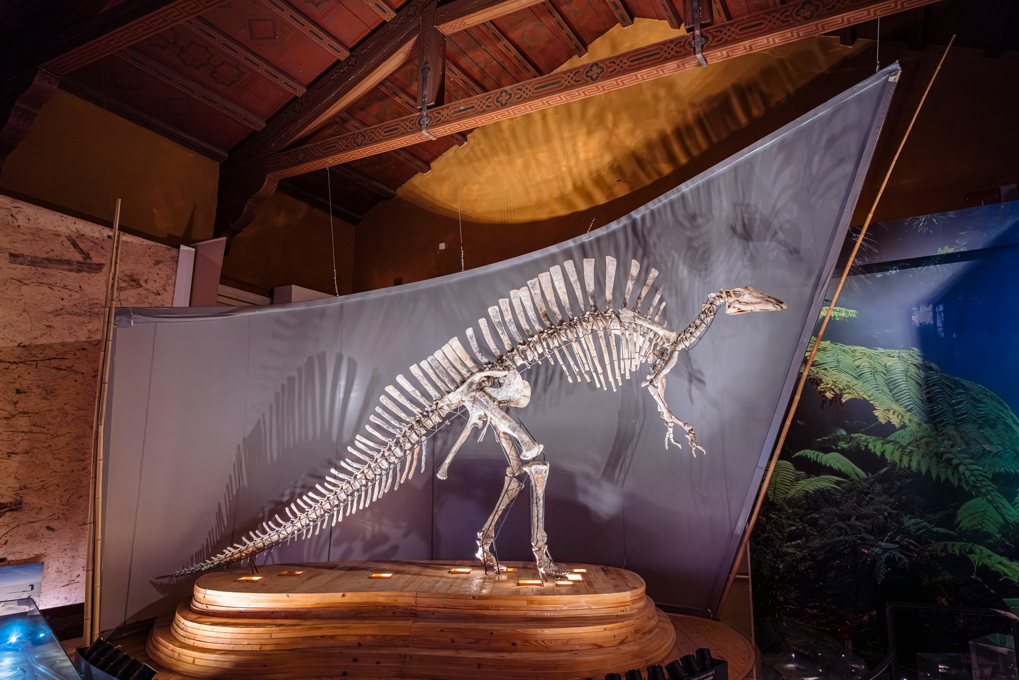 Ouranosaurus nigeriensis