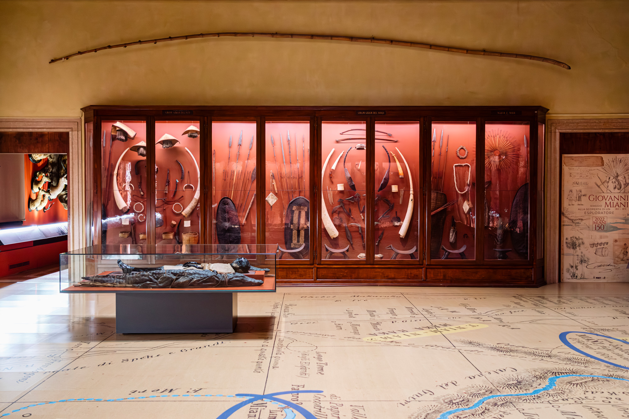 Collezione Museo di Storia Naturale