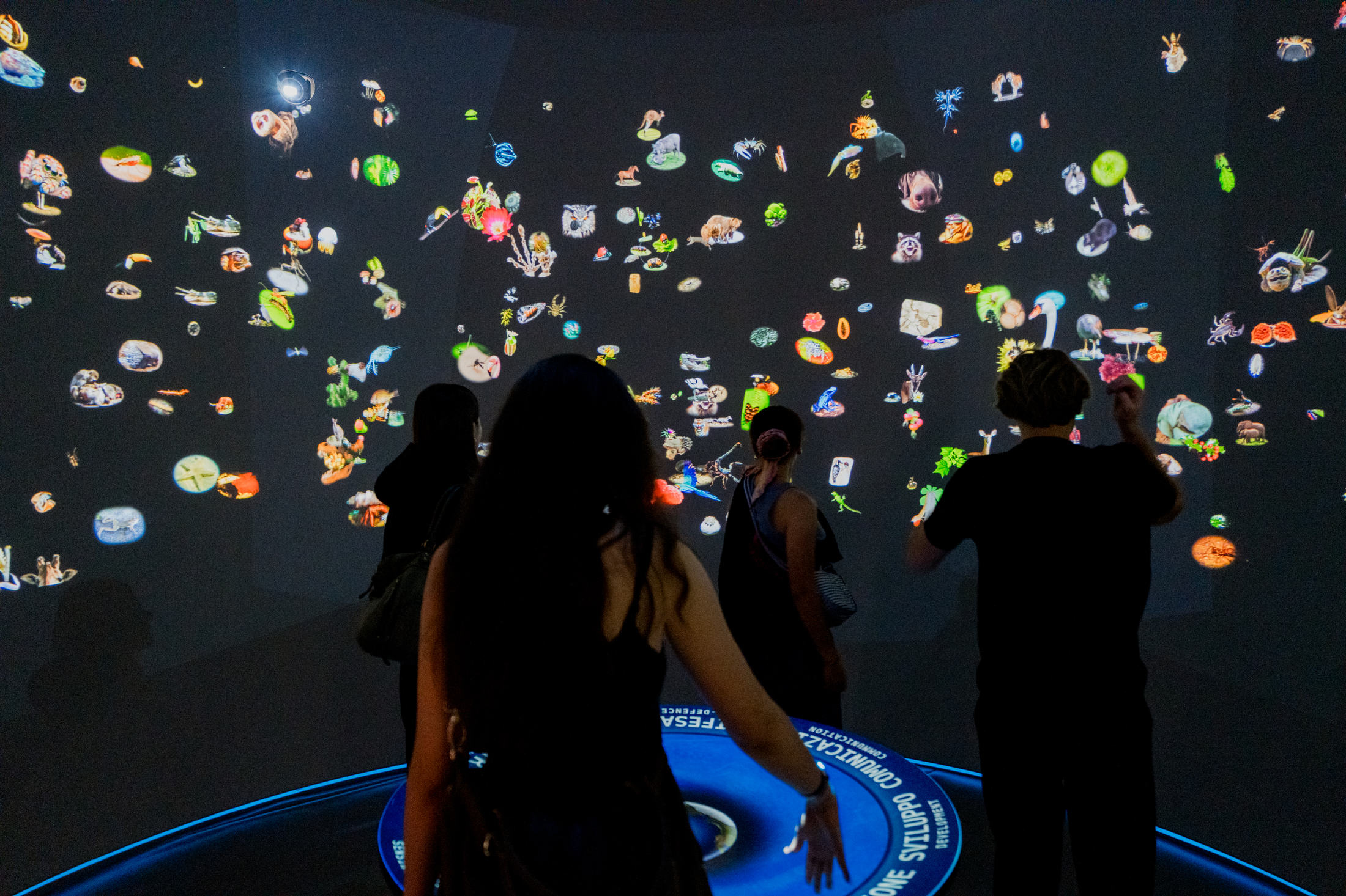 Installation view Museo