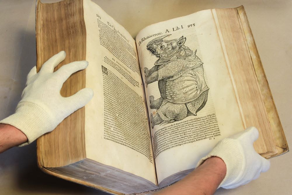 Libro antico biblioteca museo di storia naturale