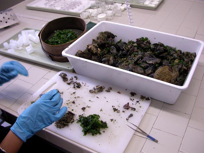 analisi laboratorio