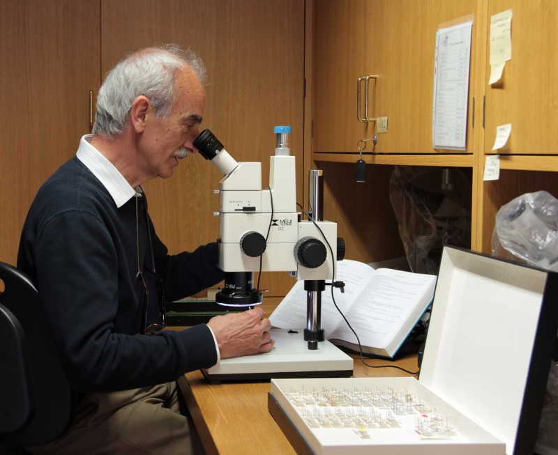 Entomologia
